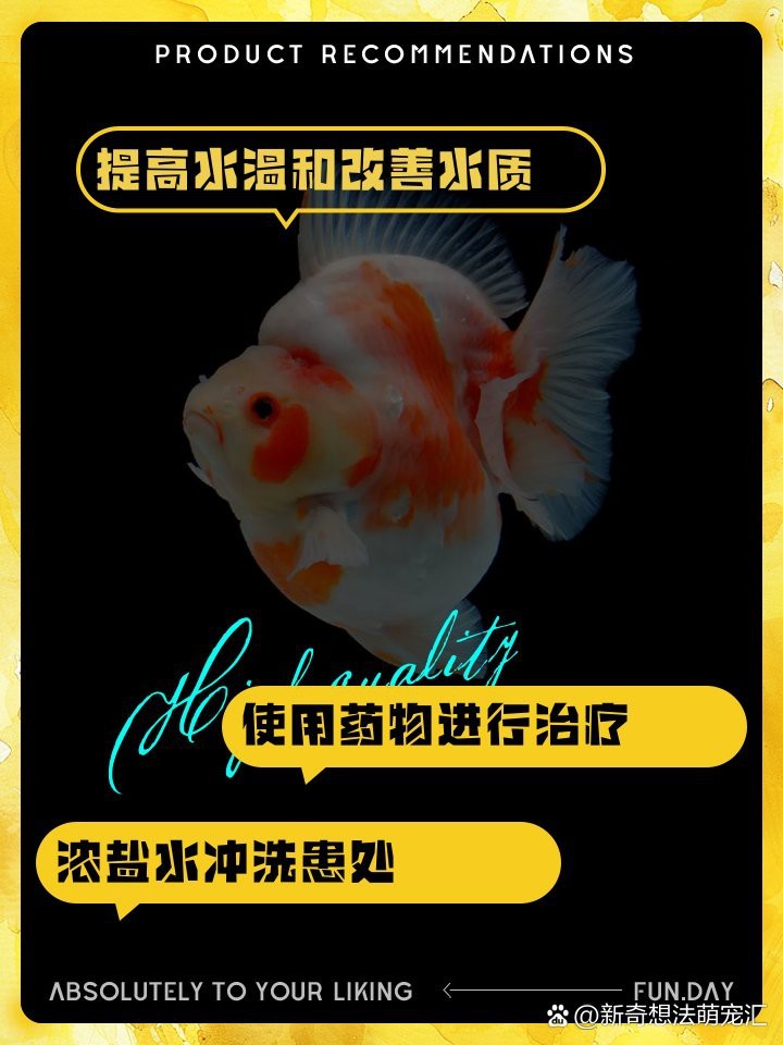 頂紅金魚頭瘤潰爛怎么辦|智能模式回答完成調用工具：百度健康 頂紅金魚頭瘤潰爛怎么辦|智能模式回答完成調用工具：百度健康 龍魚論壇 第10張