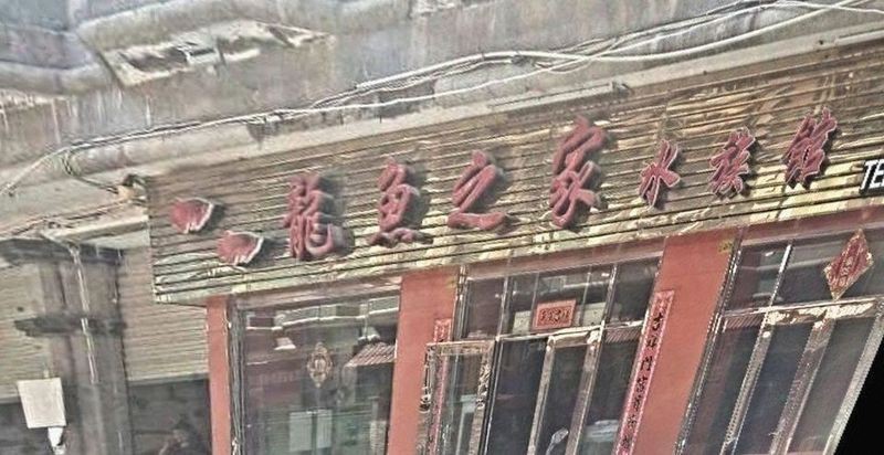 鯉城龍魚(yú)店|泉州龍魚(yú)之家水族館有哪些特色品種南信水族龍魚(yú)貿(mào)易抖音號(hào) 鯉城龍魚(yú)店|泉州龍魚(yú)之家水族館有哪些特色品種南信水族龍魚(yú)貿(mào)易抖音號(hào) 全國(guó)水族館企業(yè)名錄 第2張