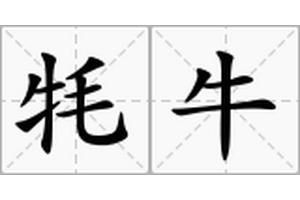 牦牛讀mao還是hao，“牦牛”的正確讀音是“mao”（二聲）（二聲）