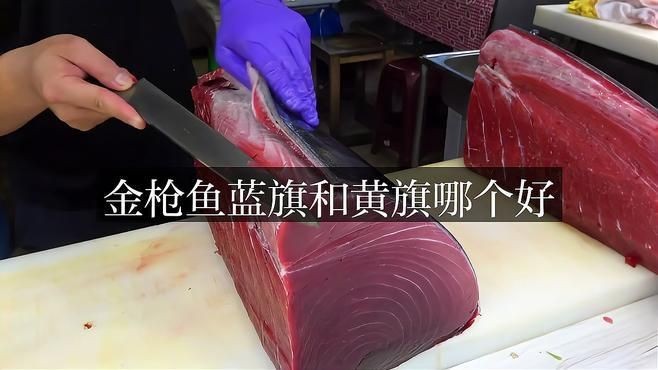藍鰭金槍魚好還是黃鰭金槍魚好|藍鰭金槍魚與黃鰭金槍魚有啥區別藍鰭和黃鰭有啥區別
