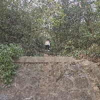 河南鉆石和真鉆一樣嗎|河南鉆石與真鉆存在一定區別從外觀上看二者極為相似