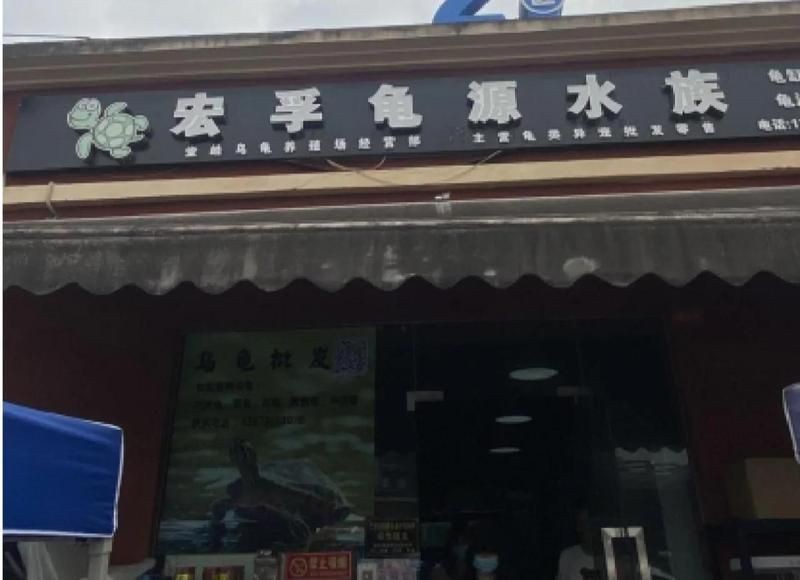 重慶水族店【2020年重慶水族市場走走逛_造景裝飾_什么值得買】 重慶水族店【2020年重慶水族市場走走逛_造景裝飾_什么值得買】 全國水族館企業名錄 第3張