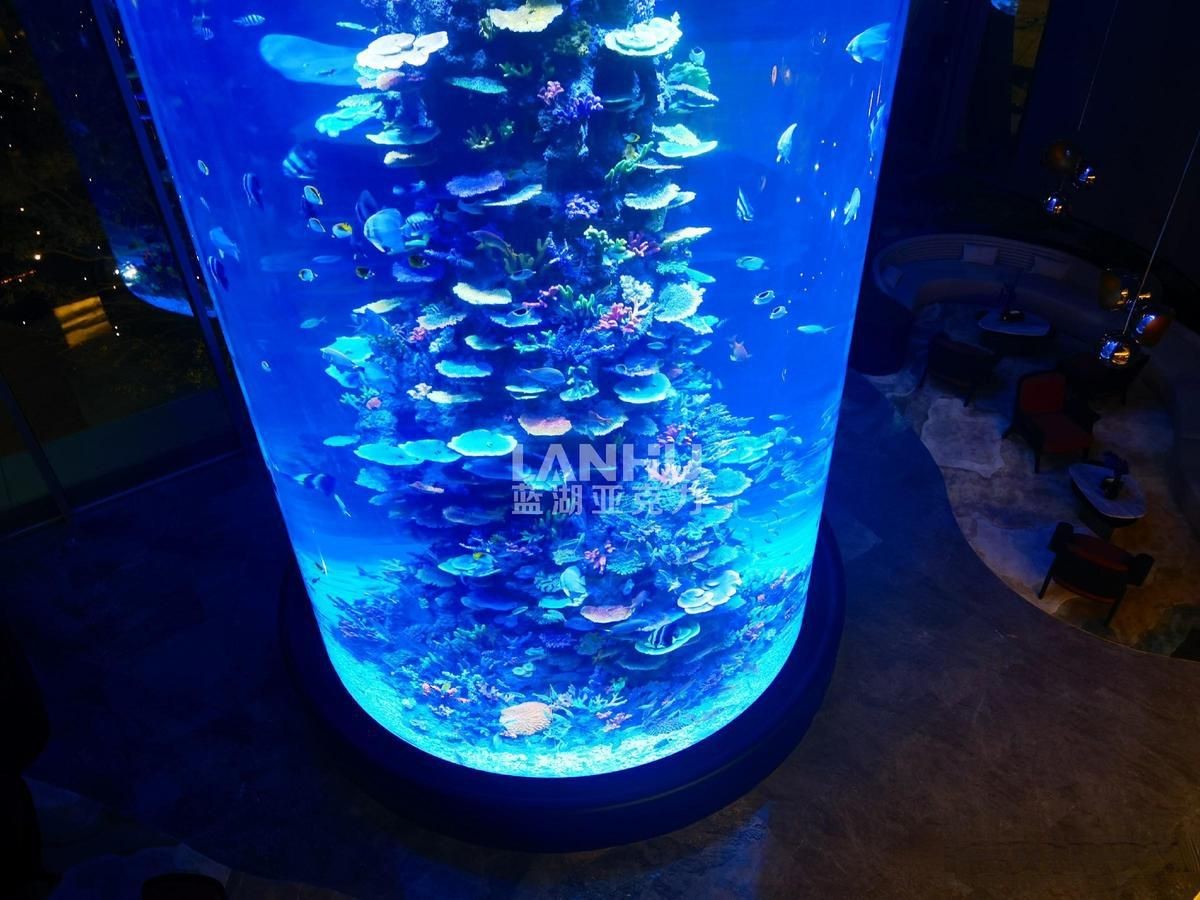 美人魚魚缸大型|《美人魚魚缸大型》