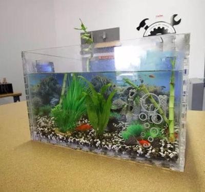金魚(yú)身上有白點(diǎn)怎么治？白點(diǎn)病的成因與治療方法，金魚(yú)白點(diǎn)病的成因與治療方法全解析