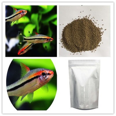 龍魚爛尾怎么治療方法，全面解析與有效對策，龍魚爛尾的全面治療方法與有效對策解析