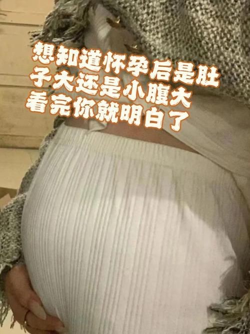 魟魚懷孕肚子圖片|關于魟魚懷孕的問題 龍魚論壇 第21張 魟魚懷孕肚子圖片|關于魟魚懷孕的問題 魟魚懷孕肚子圖片|關于魟魚懷孕的問題 龍魚論壇 第21張
