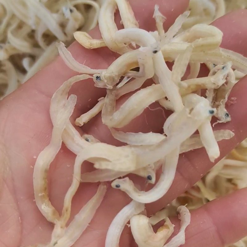 鳳尾魚多少錢一斤，鳳尾魚價格一斤多少錢 鳳尾魚多少錢一斤，鳳尾魚價格一斤多少錢 龍魚論壇 第2張