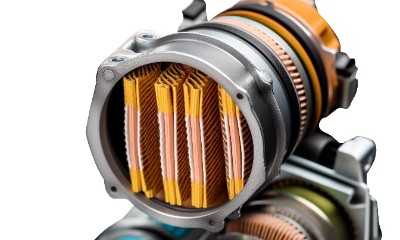 魚缸養螺的利與弊，全面解析螺類在觀賞魚缸中的作用，魚缸養螺的利與弊，全面解析螺類在觀賞魚缸中的作用與影響