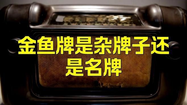 金魚是雜牌還是名牌|《金魚是雜牌還是名牌》