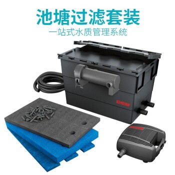 魚趴缸是什么樣子的？解析魚類異常行為的原因與應對方法，魚趴缸現象解析，原因探究與應對策略 魚趴缸是什么樣子的？解析魚類異常行為的原因與應對方法，魚趴缸現象解析，原因探究與應對策略 龍魚常見疾病 第2張