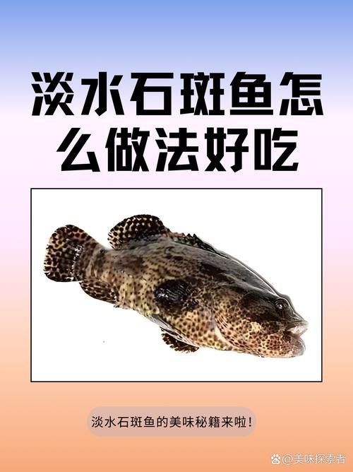 淡水石斑魚圖片，淡水石斑魚