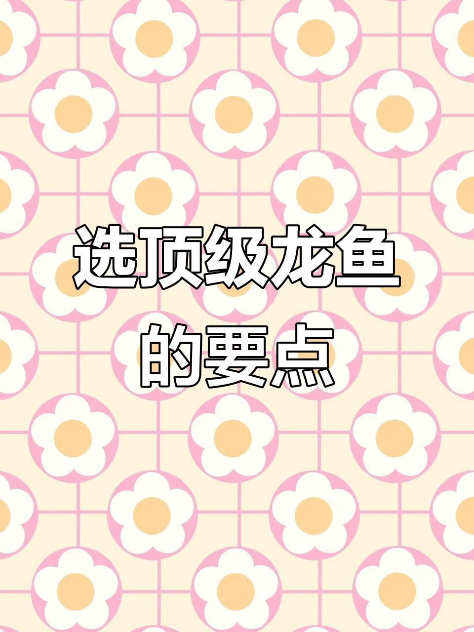 如何辨別龍魚的品相？|如何挑選一條好的龍魚