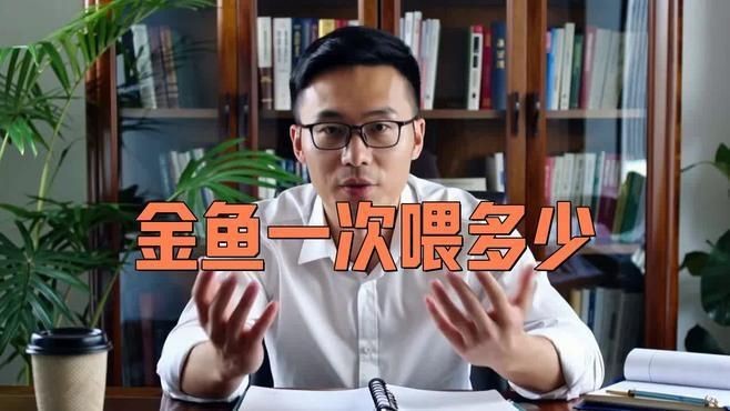 如何為金魚(yú)提供最佳營(yíng)養(yǎng)|如何為金魚(yú)提供最佳營(yíng)養(yǎng)這一關(guān)鍵問(wèn)題 如何為金魚(yú)提供最佳營(yíng)養(yǎng)|如何為金魚(yú)提供最佳營(yíng)養(yǎng)這一關(guān)鍵問(wèn)題 龍魚(yú)百科 第3張
