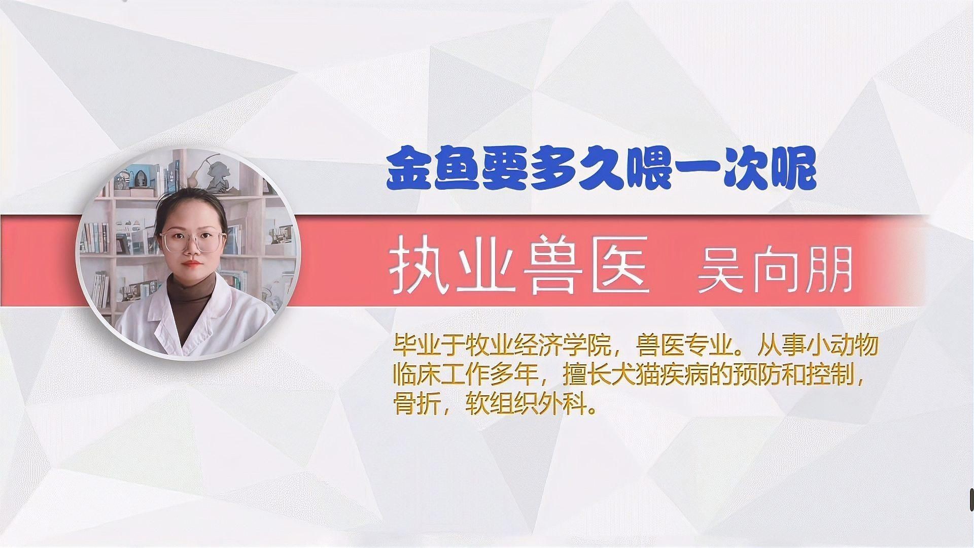 如何為金魚(yú)提供最佳營(yíng)養(yǎng)|如何為金魚(yú)提供最佳營(yíng)養(yǎng)這一關(guān)鍵問(wèn)題 如何為金魚(yú)提供最佳營(yíng)養(yǎng)|如何為金魚(yú)提供最佳營(yíng)養(yǎng)這一關(guān)鍵問(wèn)題 龍魚(yú)百科 第4張