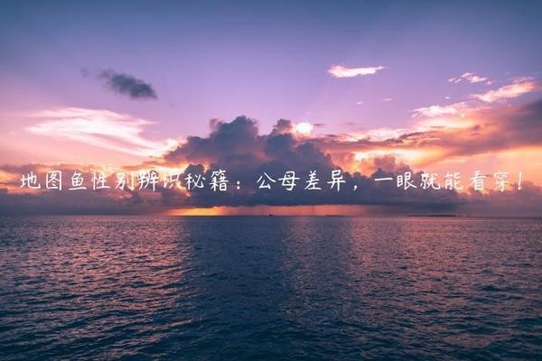 森森魚缸換水水泵 森森魚缸水泵水流怎么調 森森魚缸換水水泵 森森魚缸水泵水流怎么調 龍魚百科 第3張