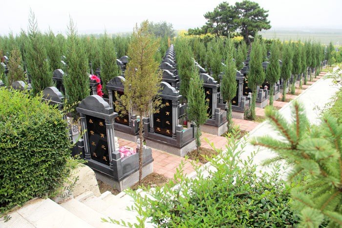 龍生墓園風水好不好|沈陽龍生墓園