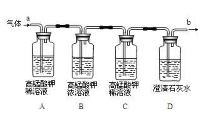 龍魚和虎魚怎樣搭配養魚好 龍魚和虎魚打架的解決辦法