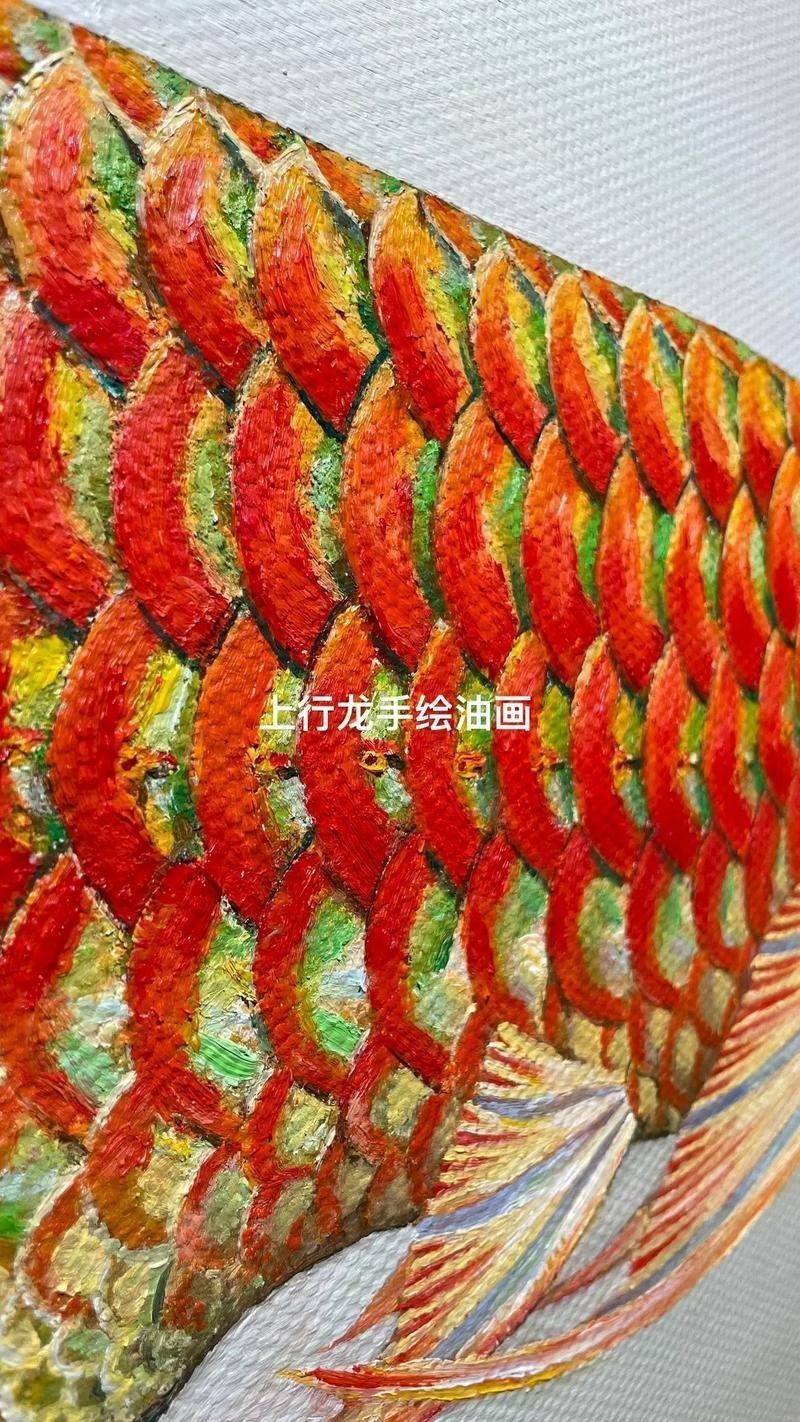 能否提供更多關于紅龍鱗框的圖解？|“紅龍鱗框”詳細圖解，小白也能一眼區分紅龍魚及其品種