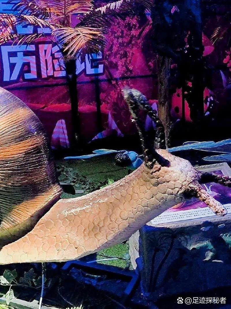 浉河水族店|信陽浉河區有哪些水族店 全國水族館企業名錄 第2張 浉河水族店|信陽浉河區有哪些水族店 浉河水族店|信陽浉河區有哪些水族店 全國水族館企業名錄 第2張