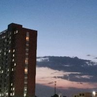 金塵雷龍是什么|金塵雷龍的飼養方法 金塵雷龍是什么|金塵雷龍的飼養方法 龍魚百科 第9張