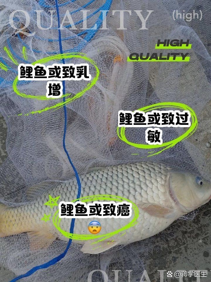 鯉魚為什么中醫(yī)建議少吃|中醫(yī)建議少吃鯉魚