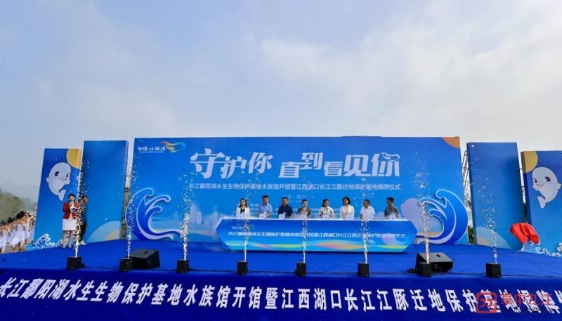 鄱陽水族店|鄱陽縣本地水族店哪家口碑最好