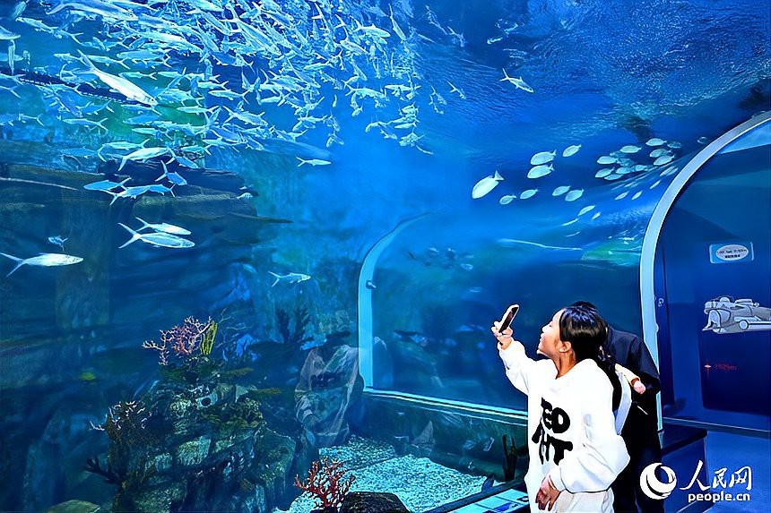 鄱陽水族店|鄱陽縣本地水族店哪家口碑最好
