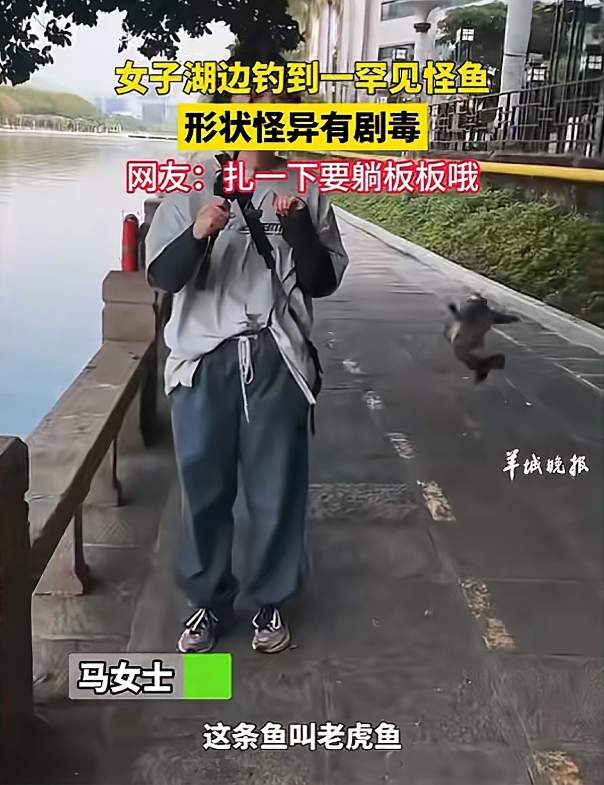 石狗公魚為何盡量少吃|石狗公魚盡量少吃的原因有以下幾點：\