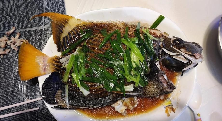 皇帝魚圖片|“皇帝魚圖片”是一段關于“皇帝魚圖片”的摘要：