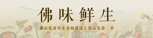 皇帝魚圖片|“皇帝魚圖片”是一段關于“皇帝魚圖片”的摘要：