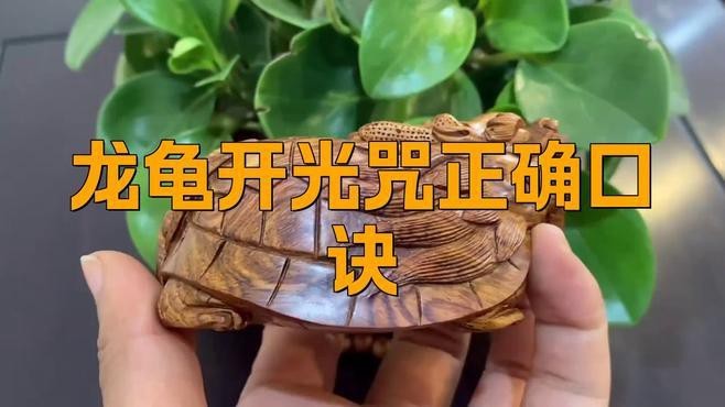 龍龜佩戴需要開光嗎？|龍龜開光法不是錦鯉樹龍龜開光咒正確口訣星月媽咪育兒經(jīng) 龍龜佩戴需要開光嗎？|龍龜開光法不是錦鯉樹龍龜開光咒正確口訣星月媽咪育兒經(jīng) 龍魚百科 第4張