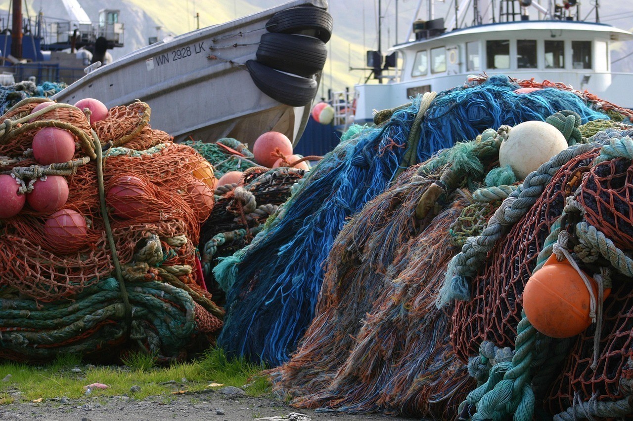 曼龍魚(yú)產(chǎn)卵要多長(zhǎng)時(shí)間|養(yǎng)殖曼龍魚(yú)的注意事項(xiàng) 水族問(wèn)答 第2張 曼龍魚(yú)產(chǎn)卵要多長(zhǎng)時(shí)間|養(yǎng)殖曼龍魚(yú)的注意事項(xiàng) 曼龍魚(yú)產(chǎn)卵要多長(zhǎng)時(shí)間|養(yǎng)殖曼龍魚(yú)的注意事項(xiàng) 水族問(wèn)答 第2張