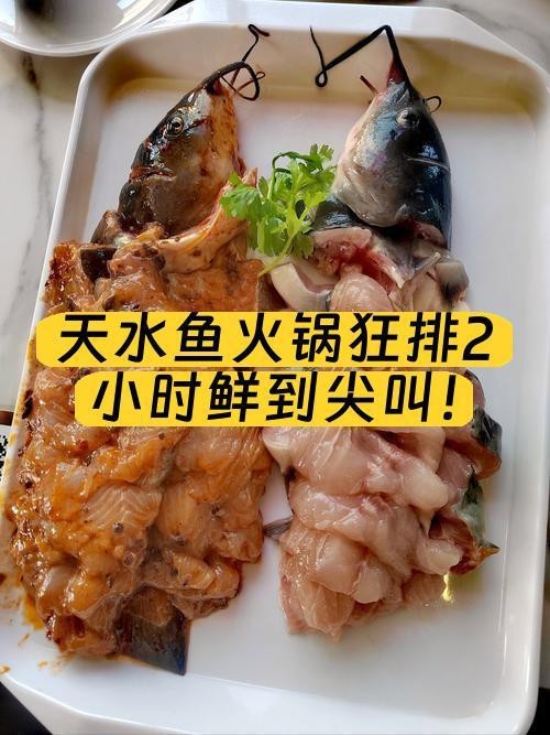 麥積龍魚店|探尋天水魚火鍋的極致鮮味 麥積龍魚店|探尋天水魚火鍋的極致鮮味 全國水族館企業名錄 第2張