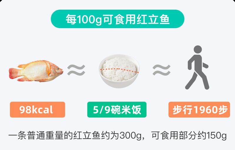 紅立魚為何不能隨便吃|紅立魚的食用風險