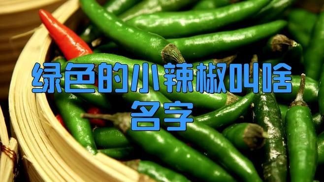 綠辣椒種類|綠色的小辣椒叫什么