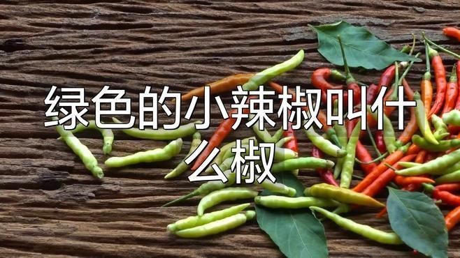 綠辣椒種類|綠色的小辣椒叫什么