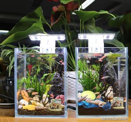 揚州魚缸品牌排行榜前十名有哪些店（揚州魚缸市場在哪里）