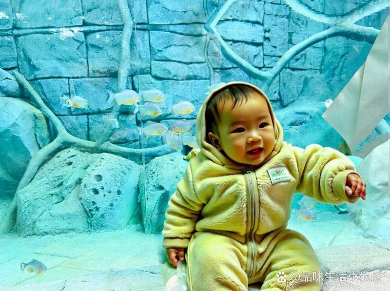長(zhǎng)沙縣水族店|長(zhǎng)沙縣擁有頗具特色的水族店如星沙飛蘭魚鳥楊仕水族店