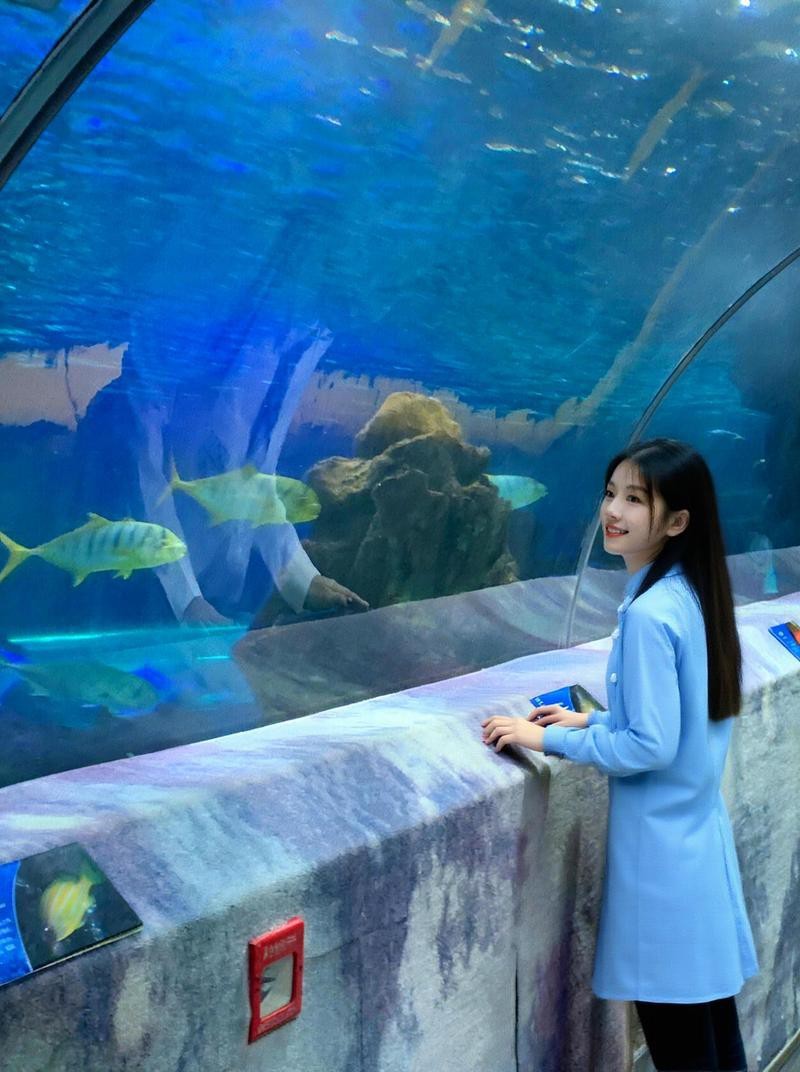 長(zhǎng)沙縣水族店|長(zhǎng)沙縣擁有頗具特色的水族店如星沙飛蘭魚鳥楊仕水族店