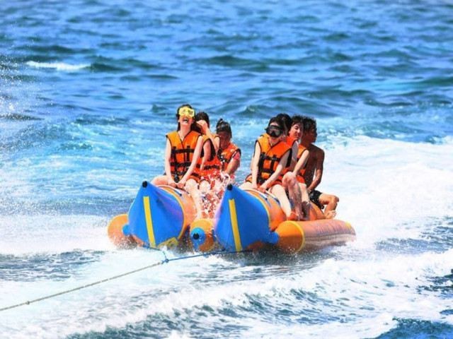 黃山風景水族店|關于“黃山風景水族店”的一段話 黃山風景水族店|關于“黃山風景水族店”的一段話 全國水族館企業名錄 第1張