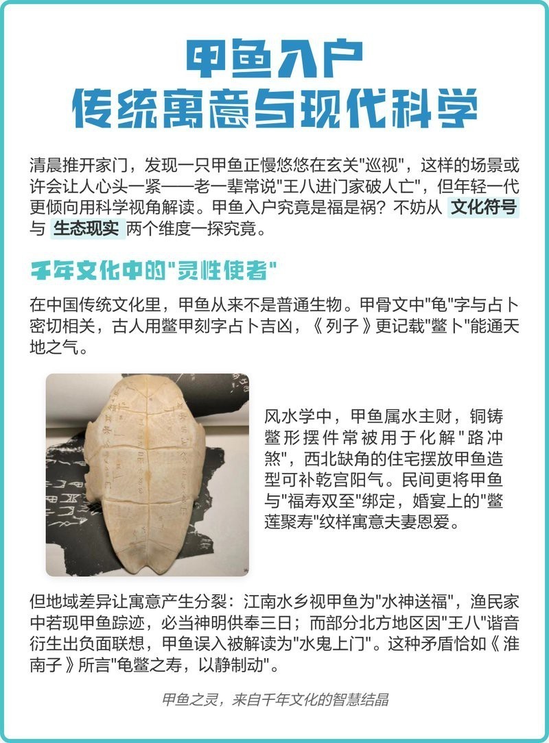 鱉什么屬相的人不能養|《鱉什么屬相的人不能養”的探討摘要探討摘要說法 鱉什么屬相的人不能養|《鱉什么屬相的人不能養”的探討摘要探討摘要說法 龍魚論壇 第4張