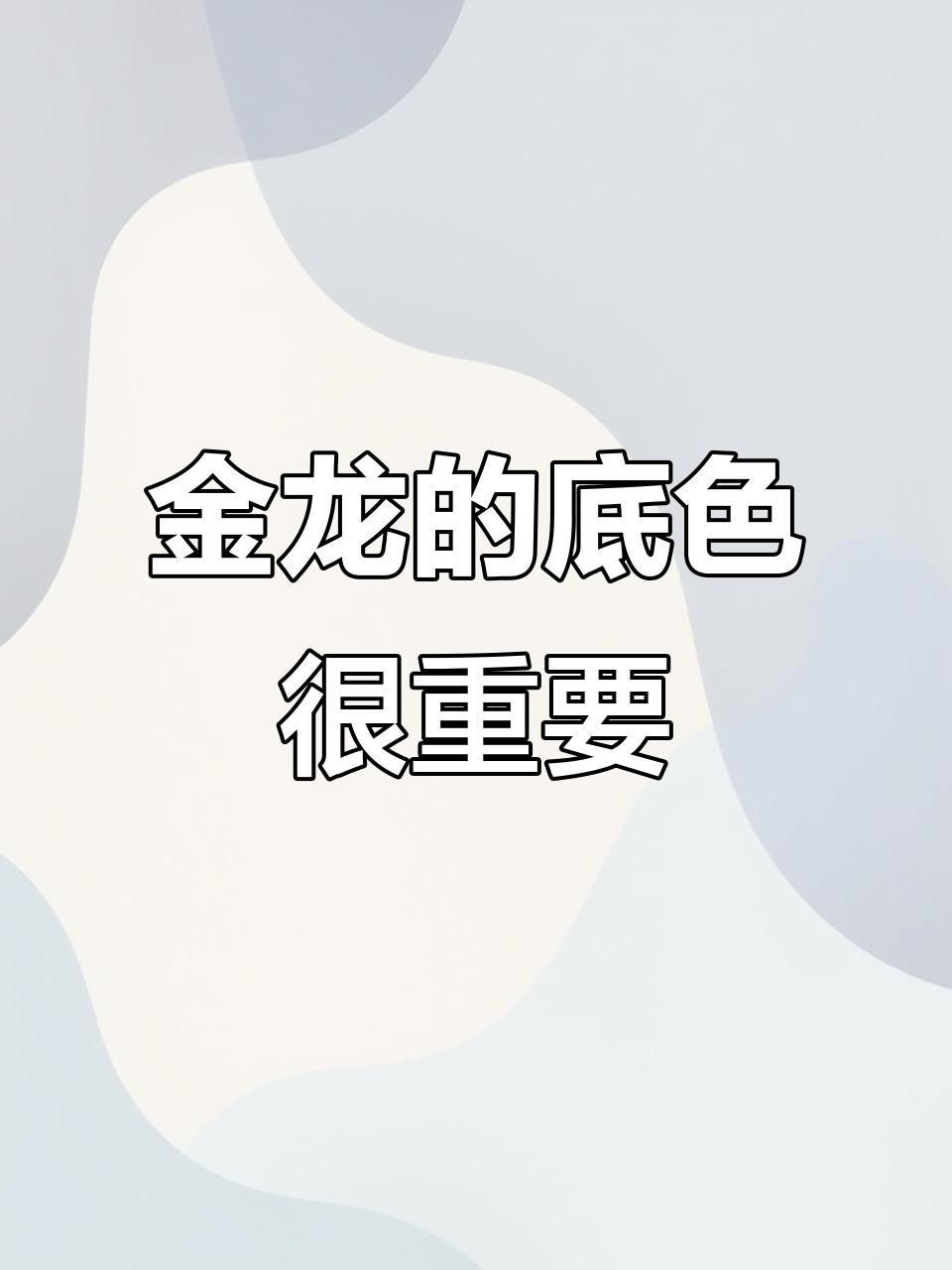 金龍藍(lán)底好還是金底好|探討“金龍藍(lán)底好還是金底好”這一問(wèn)題需綜合多方面因素考量 金龍藍(lán)底好還是金底好|探討“金龍藍(lán)底好還是金底好”這一問(wèn)題需綜合多方面因素考量 龍魚百科 第4張