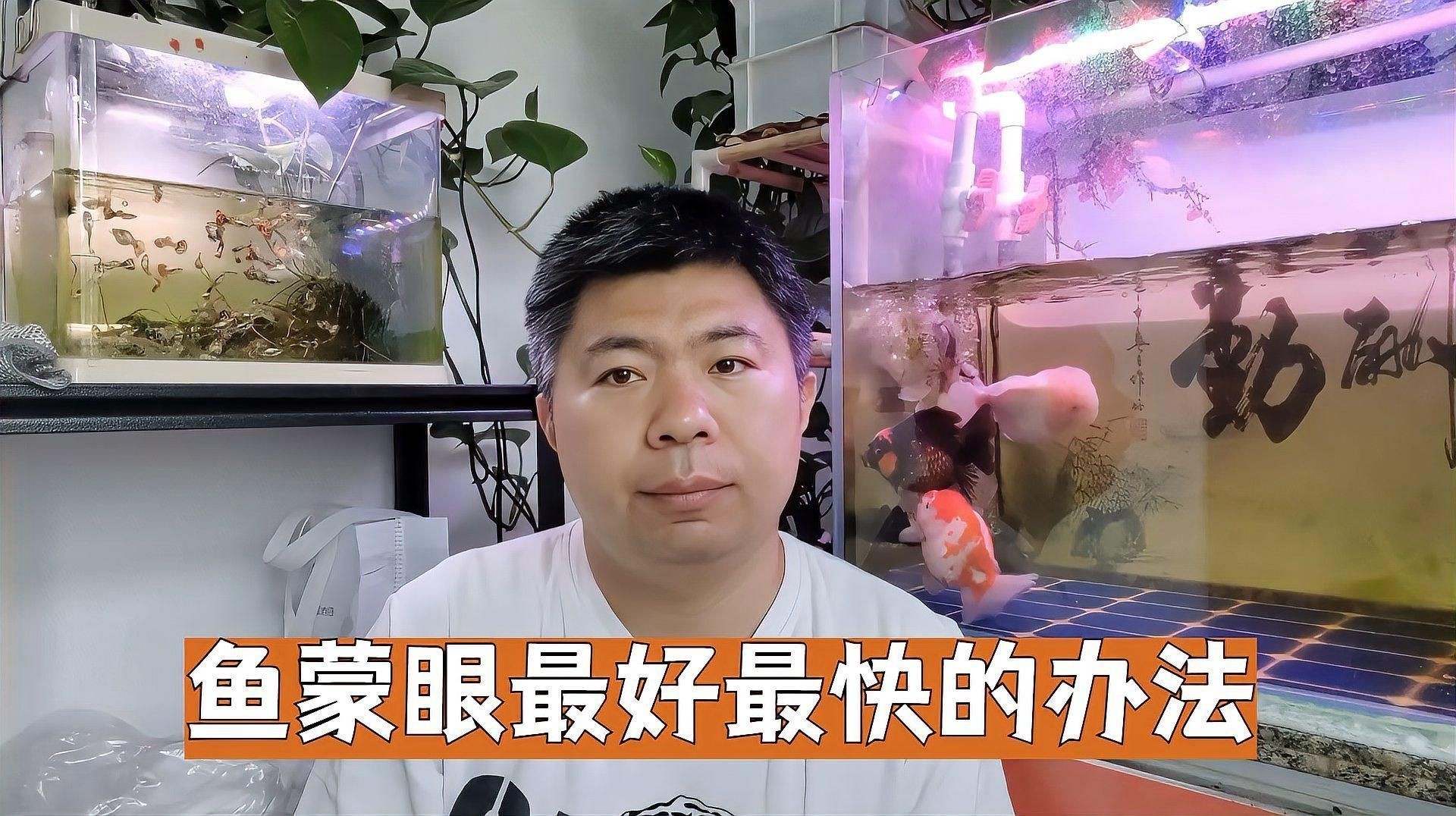 哪些魚類容易患蒙眼病？|觀賞魚得蒙眼病怎么辦