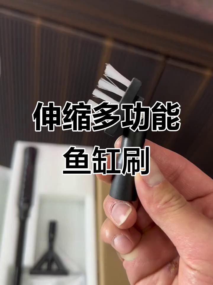 金龍魚缸內需要哪些清潔工具？|金龍魚缸所需清潔工具
