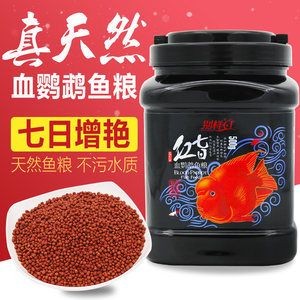 元寶鳳凰魚增色飼料效果:專為元寶鳳凰魚量身定制的艷寶糧,讓你的愛魚在健康上更上一層樓 元寶鳳凰魚百科 第6張 元寶鳳凰魚增色飼料效果:專為元寶鳳凰魚量身定制的艷寶糧,讓你的愛魚在健康上更上一層樓 元寶鳳凰魚增色飼料效果:專為元寶鳳凰魚量身定制的艷寶糧,讓你的愛魚在健康上更上一層樓 元寶鳳凰魚百科 第6張