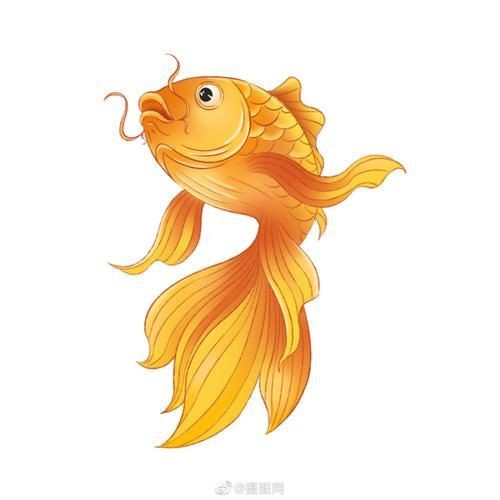 錦鯉卡通圖片可愛|《錦鯉卡通圖片可愛》 錦鯉卡通圖片可愛|《錦鯉卡通圖片可愛》 龍魚百科 第12張