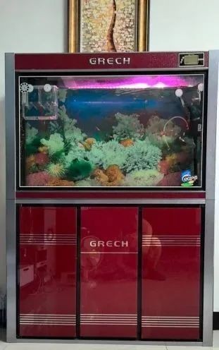 附近二手市場魚缸出售|58同城二手市場魚缸出售 附近二手市場魚缸出售|58同城二手市場魚缸出售 龍魚論壇 第4張