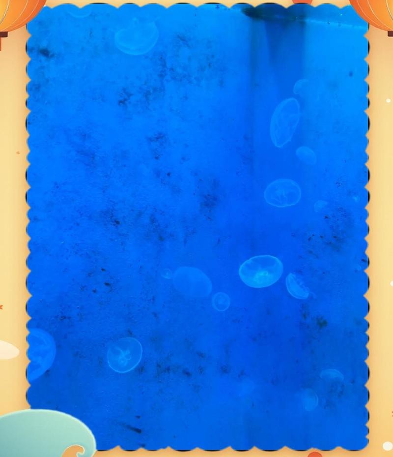 綿陽水族店|綿陽有哪些水族店
