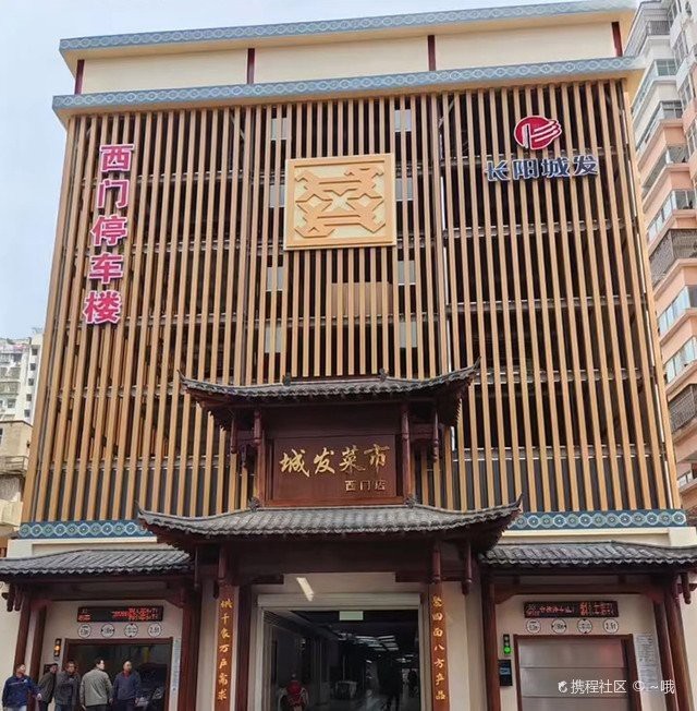 長陽龍魚店|長陽龍魚店\