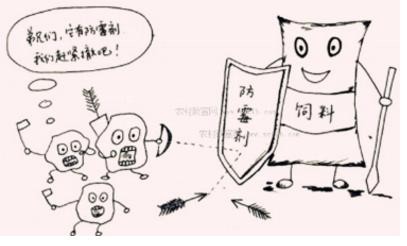 魚缸造景服務(做水族造景的怎么跑業務) 錦鯉魚百科 第3張 魚缸造景服務(做水族造景的怎么跑業務) 魚缸造景服務(做水族造景的怎么跑業務) 錦鯉魚百科 第3張